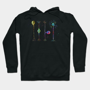 Four types of neurons Hoodie